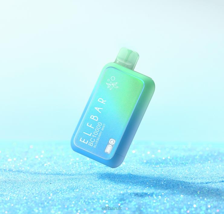Elf Bar Flavours - ELFBAR BC10000 Disposable Vape Sunit Edition Blueberry Mint D8XP02
